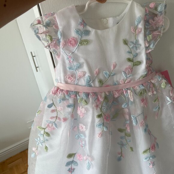 Toddler Rare Editions Special Occasion Dress